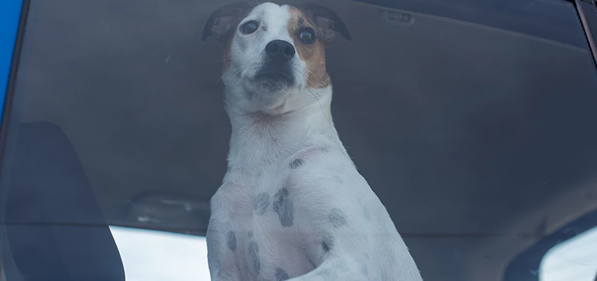 Car Lockout Solutions in Jamul, California